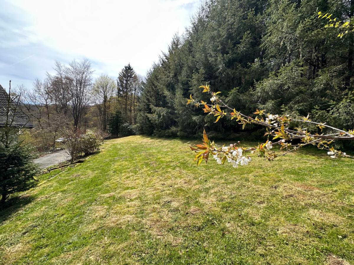 Charming Villa On The Forest In Wald 12 Guests Hugh Garden Willingen Sauerland Brilon Exteriör bild