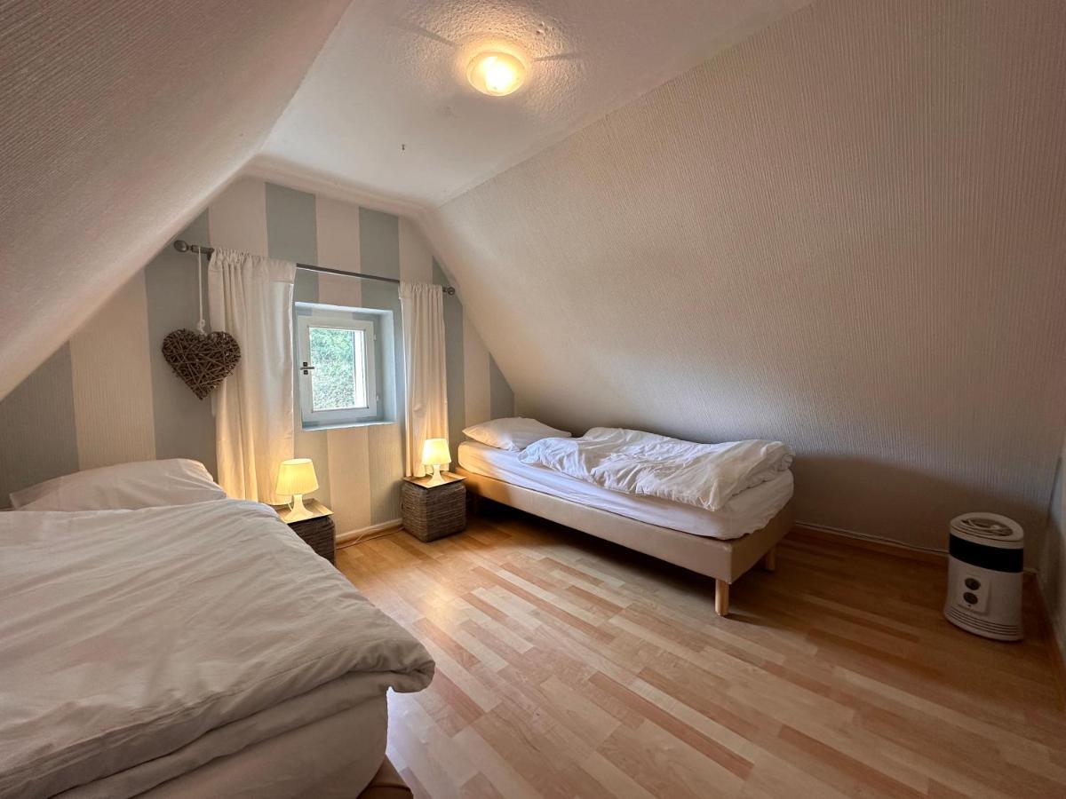 Charming Villa On The Forest In Wald 12 Guests Hugh Garden Willingen Sauerland Brilon Exteriör bild