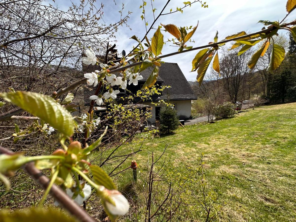 Charming Villa On The Forest In Wald 12 Guests Hugh Garden Willingen Sauerland Brilon Exteriör bild